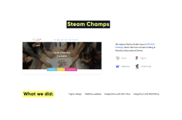 Steam champs